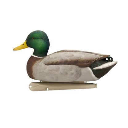 Avian X Topflight Realistic Floating Rugged Fusion Mallard Decoy Set, 6 Pack - Angler's Pro Tackle & Outdoors