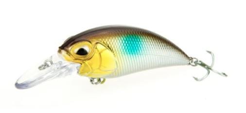 B8LAB Ultimate Strike Shad