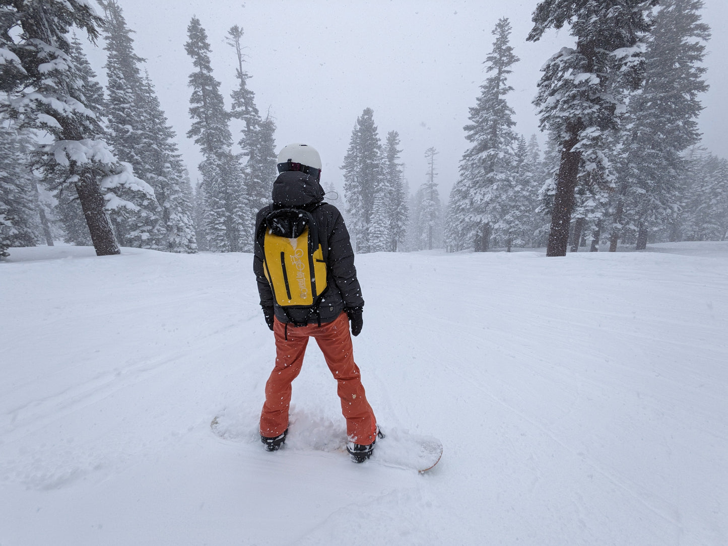 Moved By Bikes Dry Bag Backpack