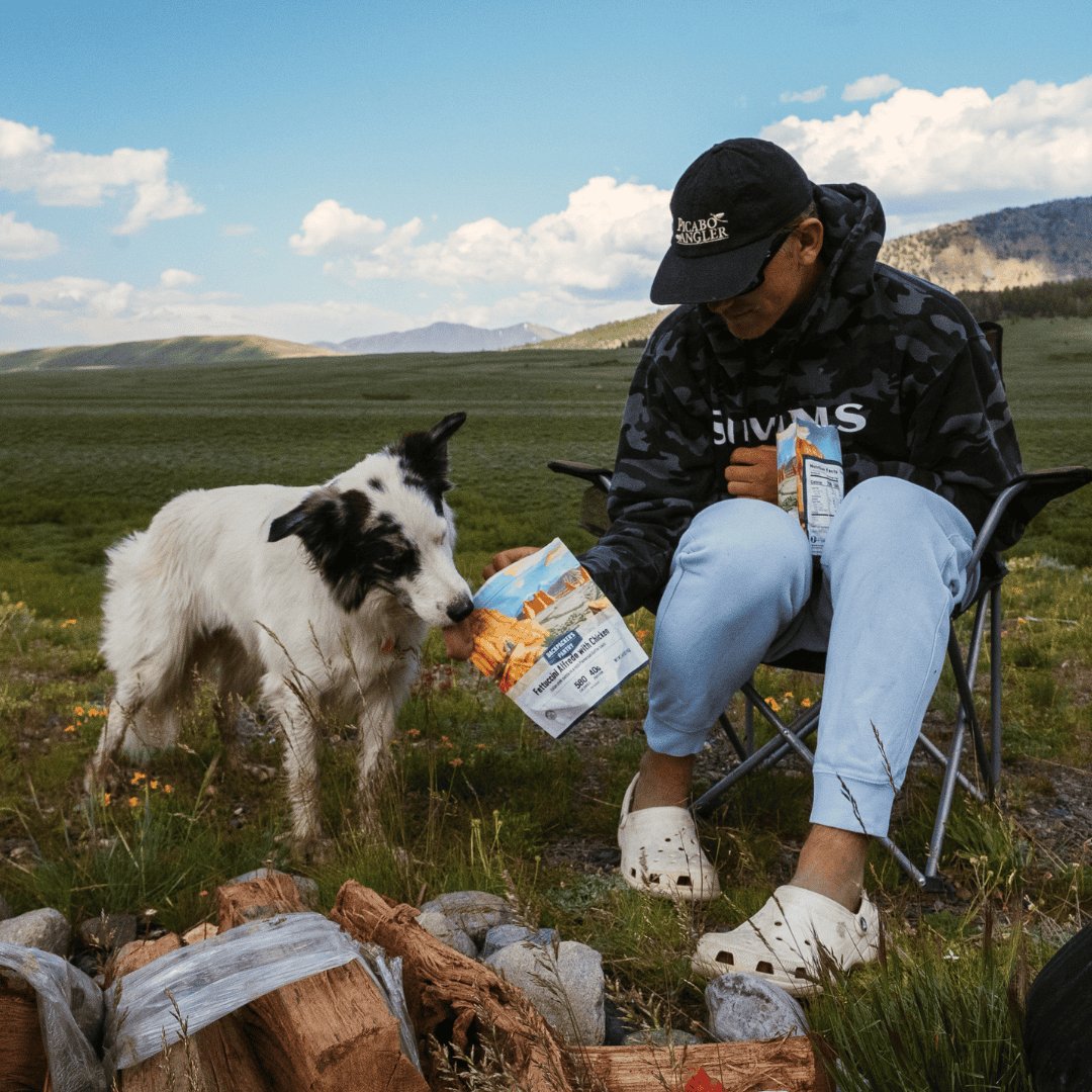 Backpacker's Pantry Fettuccine Alfredo with Chicken - Angler's Pro Tackle & Outdoors