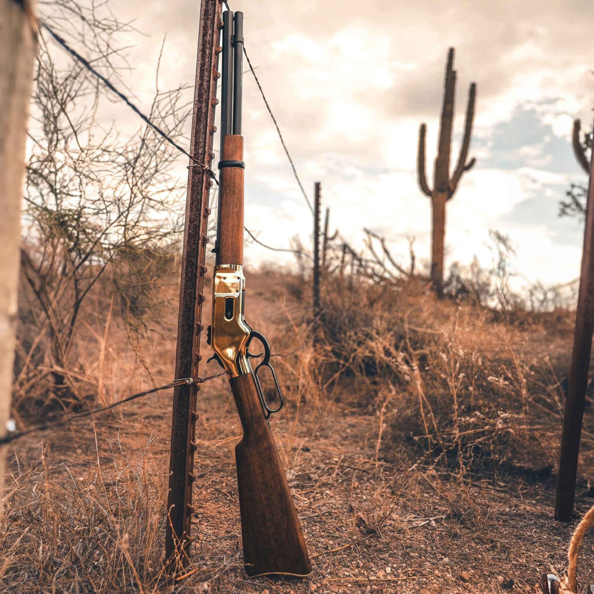 Barra Airguns 1866 CO2 .22 - Gold - Angler's Pro Tackle & Outdoors