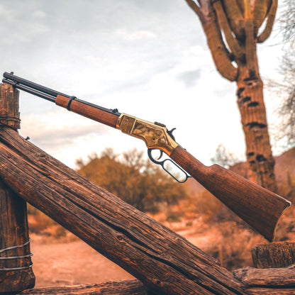 Barra Airguns 1866 CO2 .22 - Gold - Angler's Pro Tackle & Outdoors