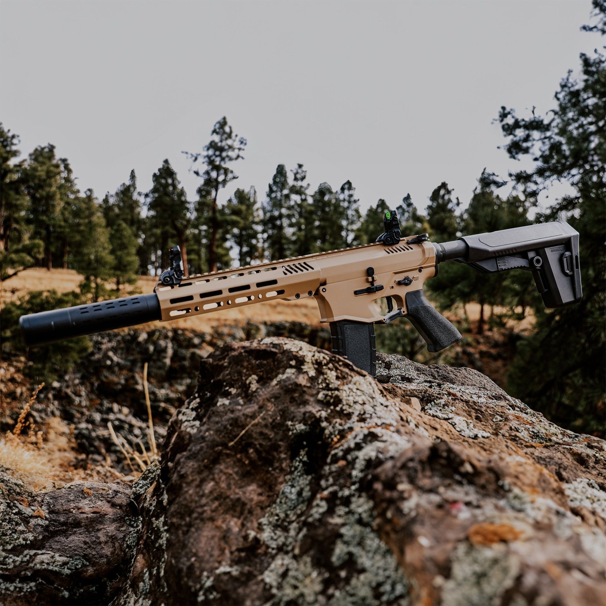 Barra Airguns 400e Metal - Tan (Refurbished) - Angler's Pro Tackle & Outdoors