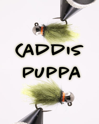 HazyFly BH Caddis Pupa Olive