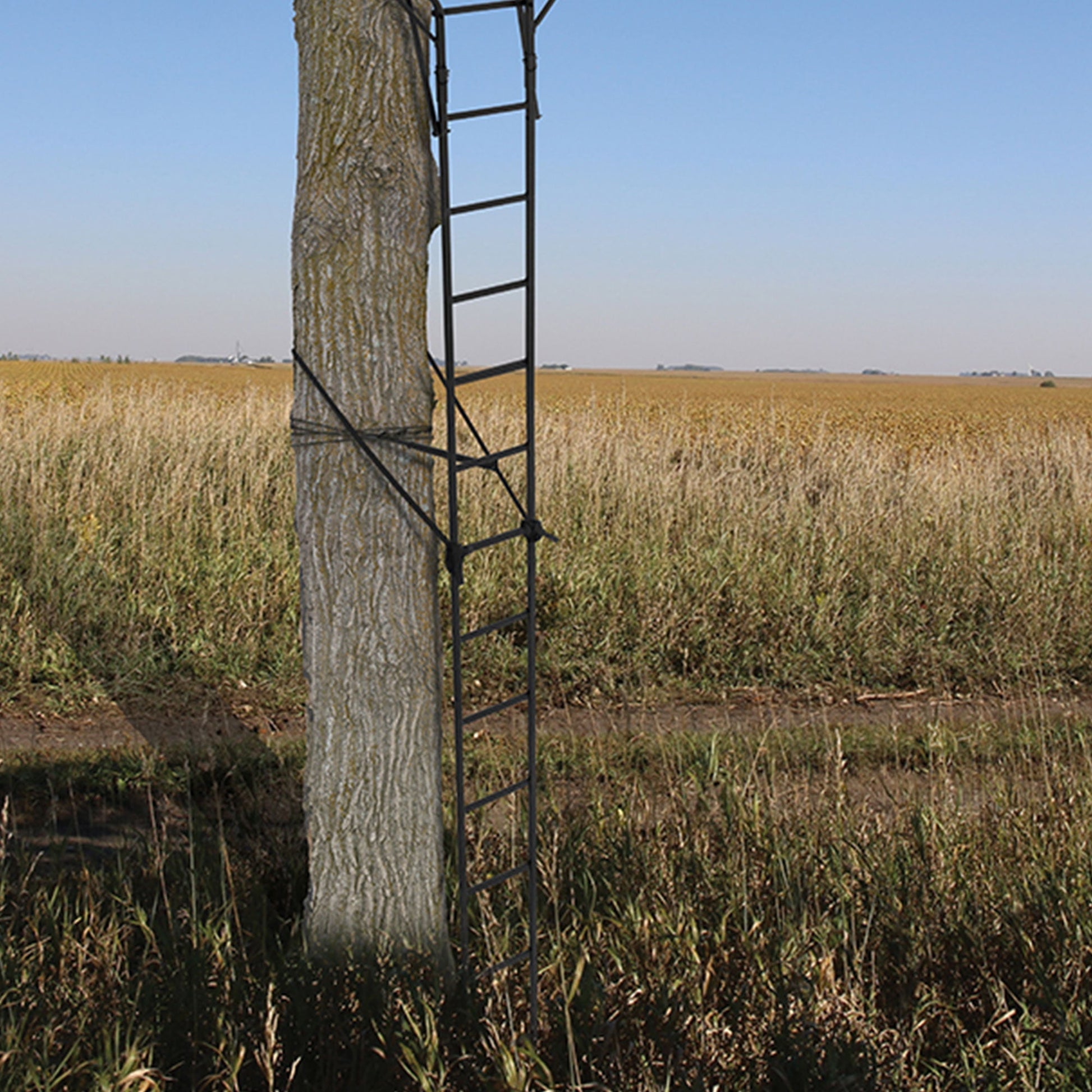 Big Game Guardian DXT Portable 2 Hunter Tree Ladder Stand, 18 Foot (2 Pack) - Angler's Pro Tackle & Outdoors