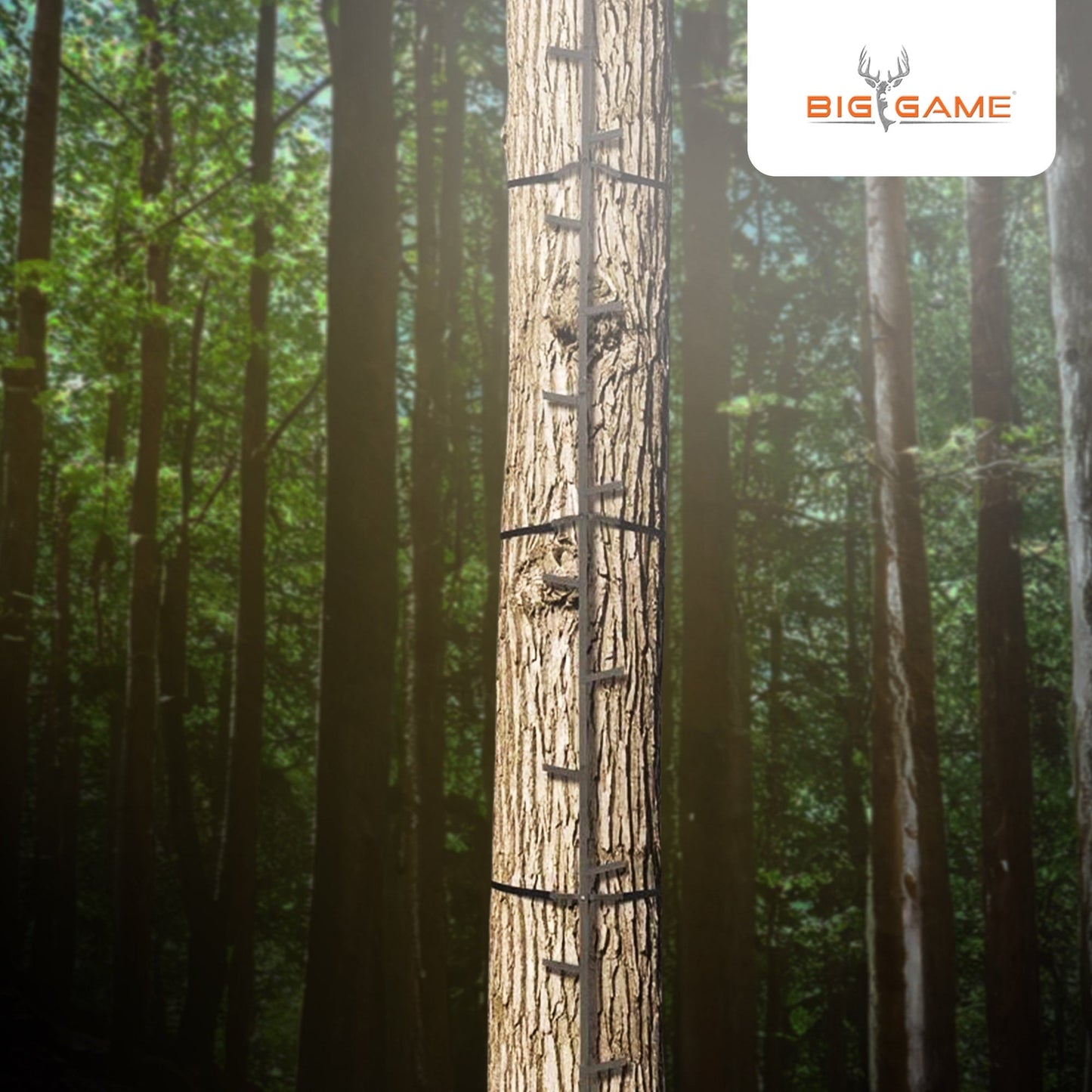 Big Game Quick Stick Climbing Sticks, Tree Climbing Hunting Gear for Deer Stands - Angler's Pro Tackle & Outdoors