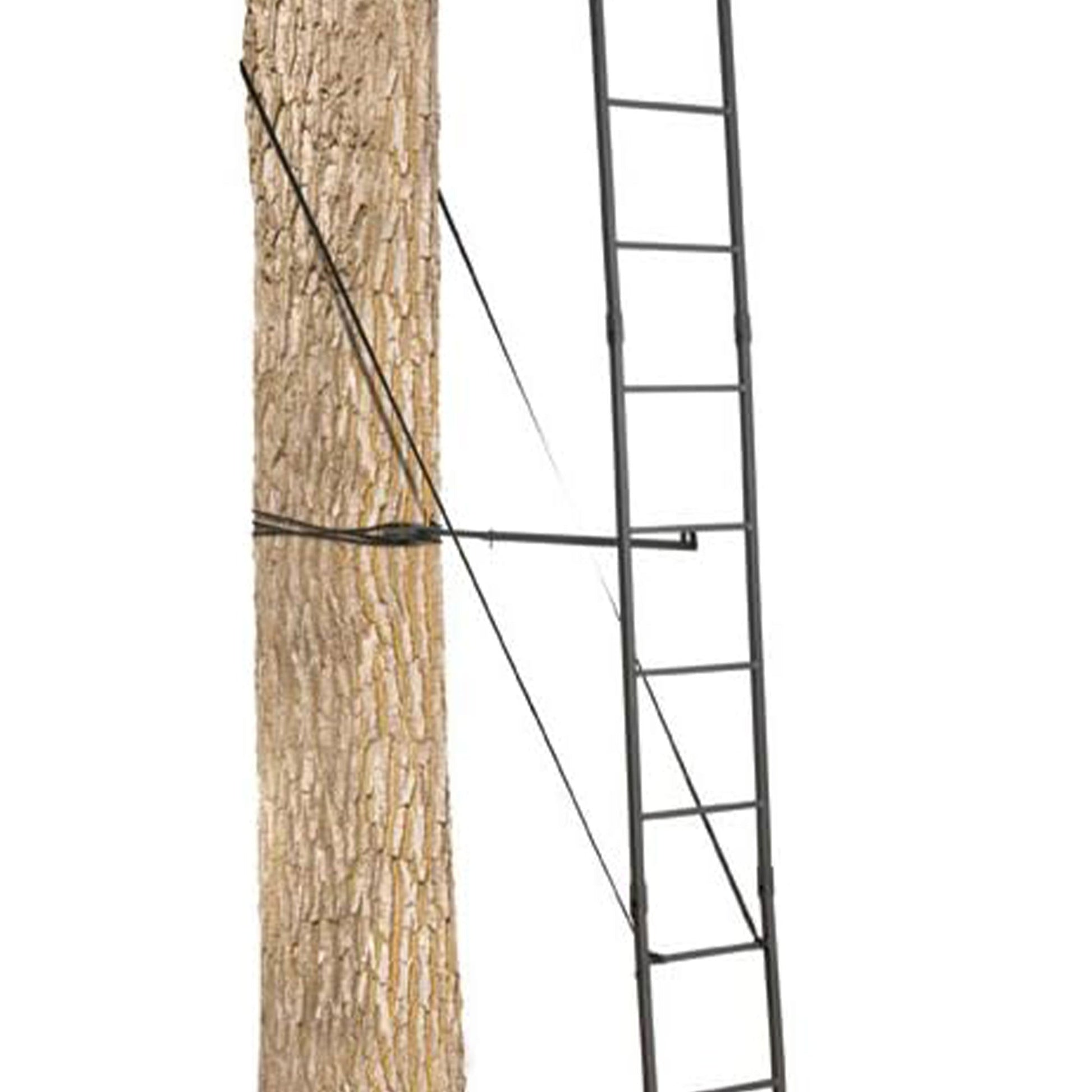 Big Game The Big Buddy Deer Hunting Ladder Climbing Tree Stand w/Flex - Tek Seat - Angler's Pro Tackle & Outdoors