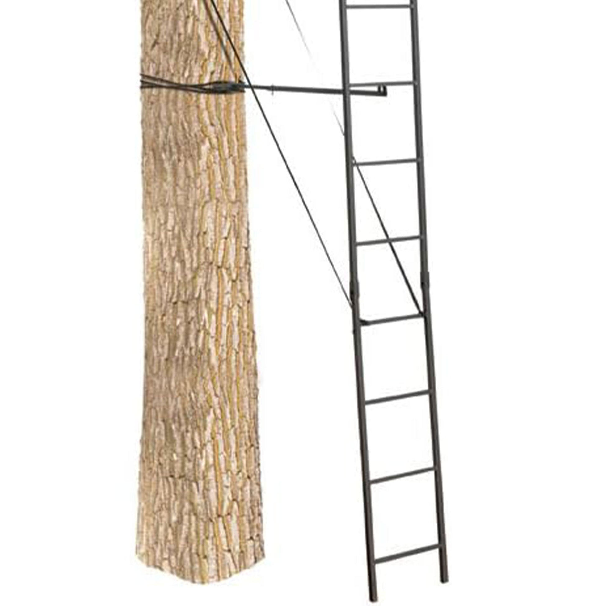 Big Game The Big Buddy Deer Hunting Ladder Climbing Tree Stand w/Flex - Tek Seat - Angler's Pro Tackle & Outdoors