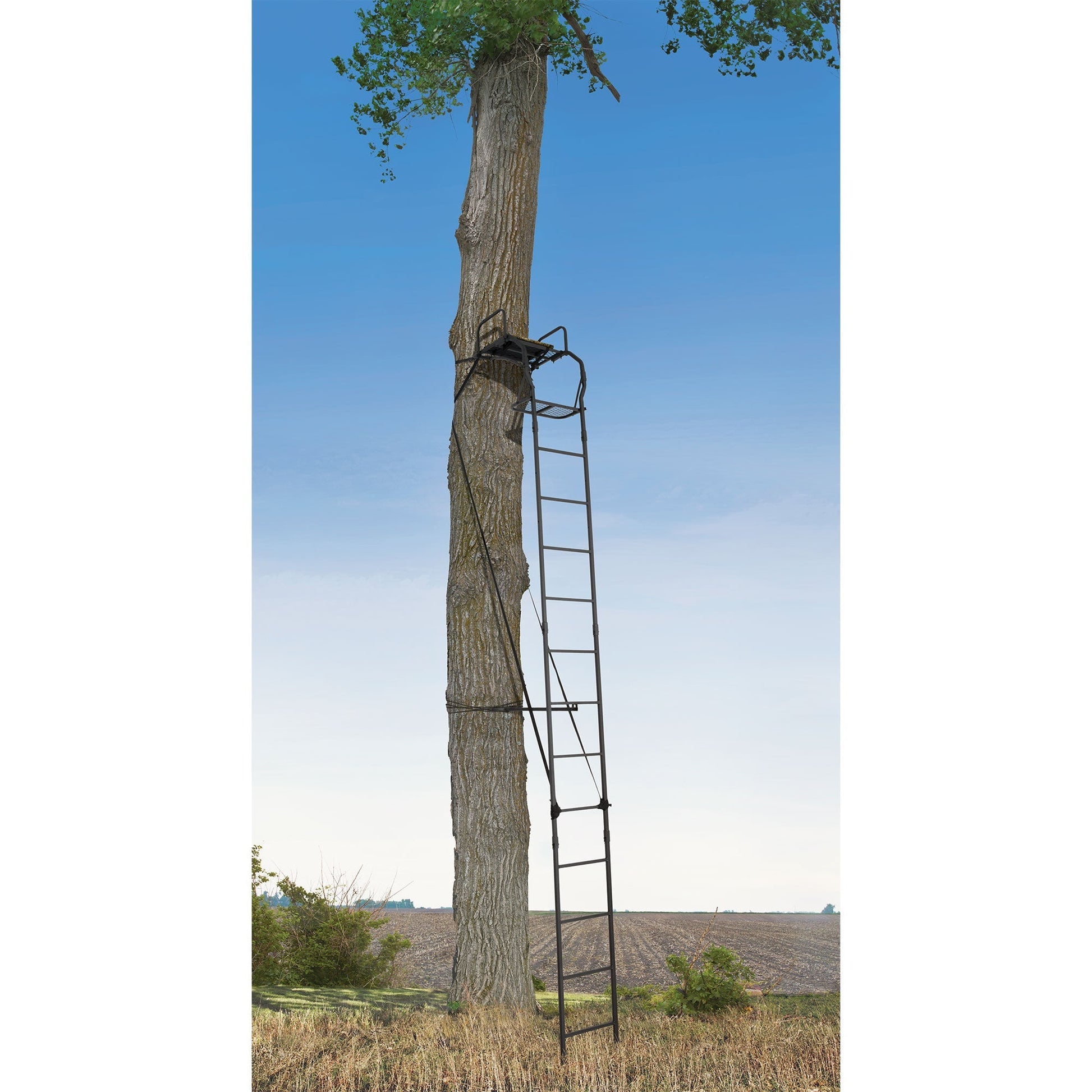 Big Game The Warrior Pro 1 Person Deer Hunting Ladder Climbing Tree Stand, Black - Angler's Pro Tackle & Outdoors