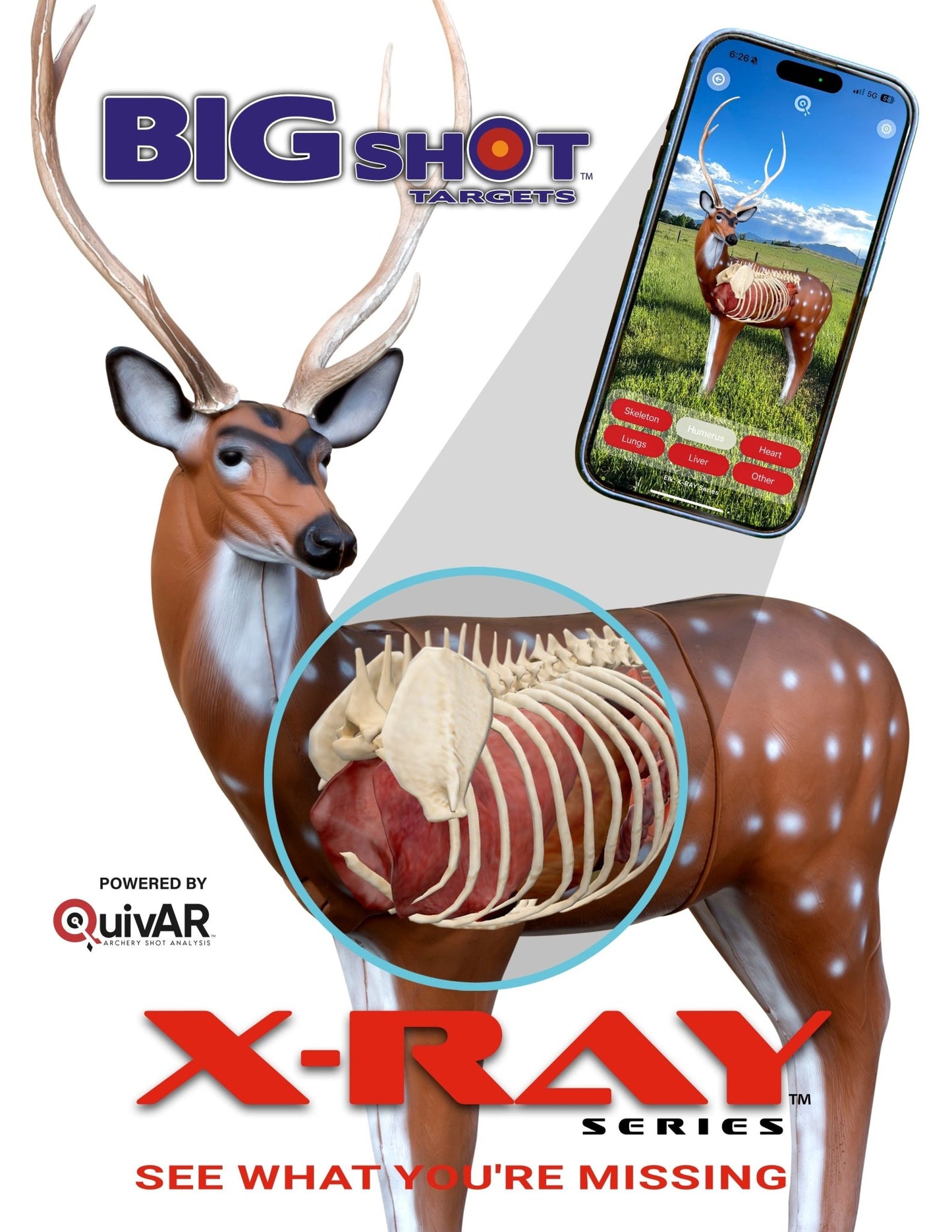 BIGshot Archery X - Ray Series Axis Deer - Angler's Pro Tackle & Outdoors