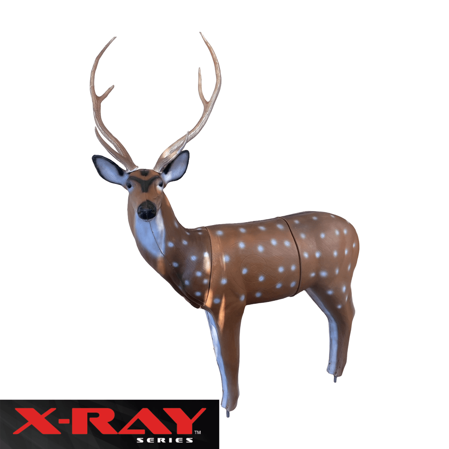 BIGshot Archery X - Ray Series Axis Deer - Angler's Pro Tackle & Outdoors