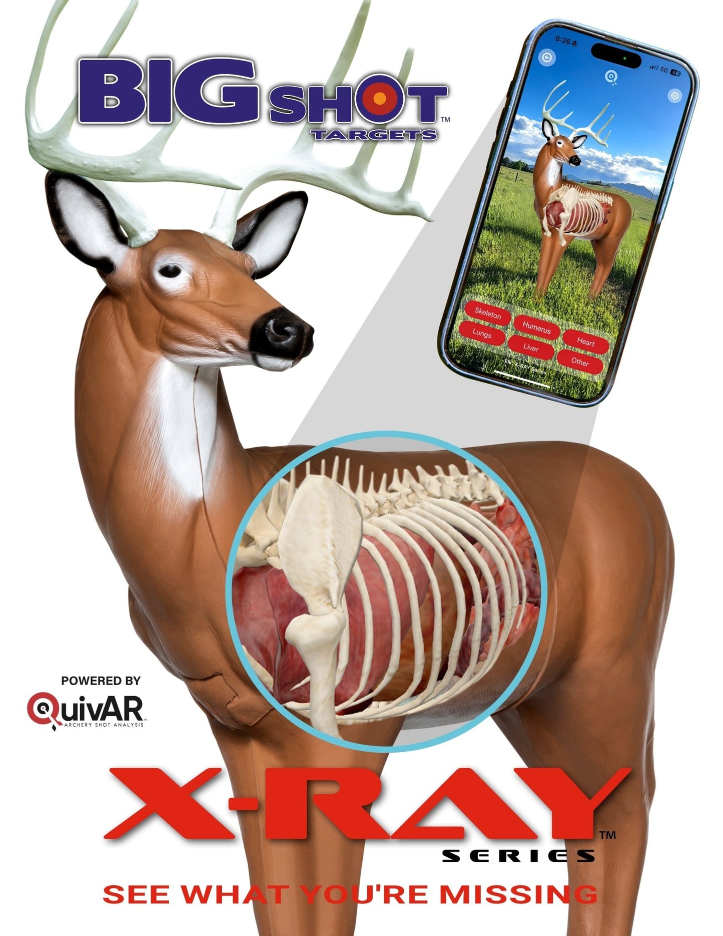 BIGshot Archery X - Ray Series Big Buck - Angler's Pro Tackle & Outdoors