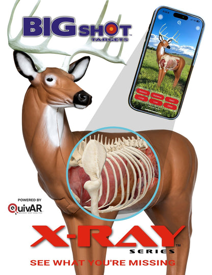 BIGshot Archery X - Ray Series Big Buck - Angler's Pro Tackle & Outdoors