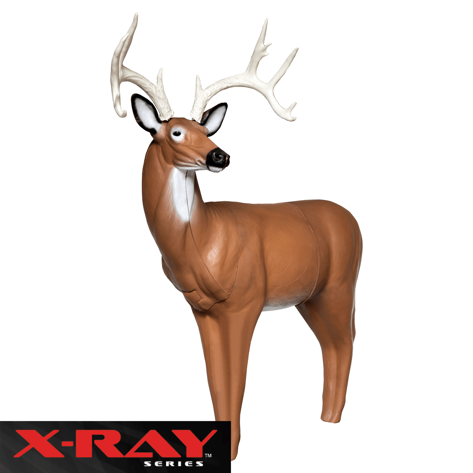 BIGshot Archery X - Ray Series Big Buck - Angler's Pro Tackle & Outdoors