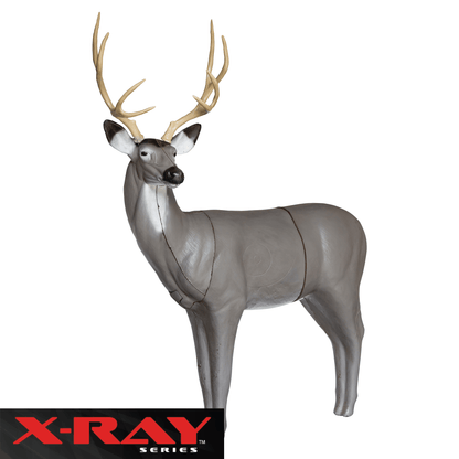 BIGshot Archery X - Ray Series Mule Deer - Angler's Pro Tackle & Outdoors