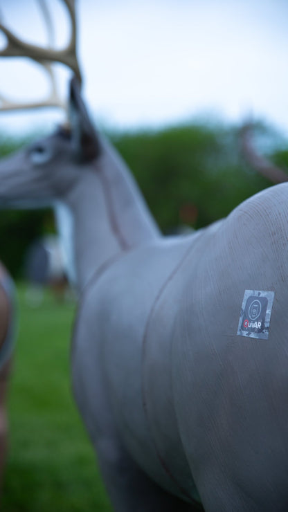 BIGshot Archery X - Ray Series Mule Deer - Angler's Pro Tackle & Outdoors