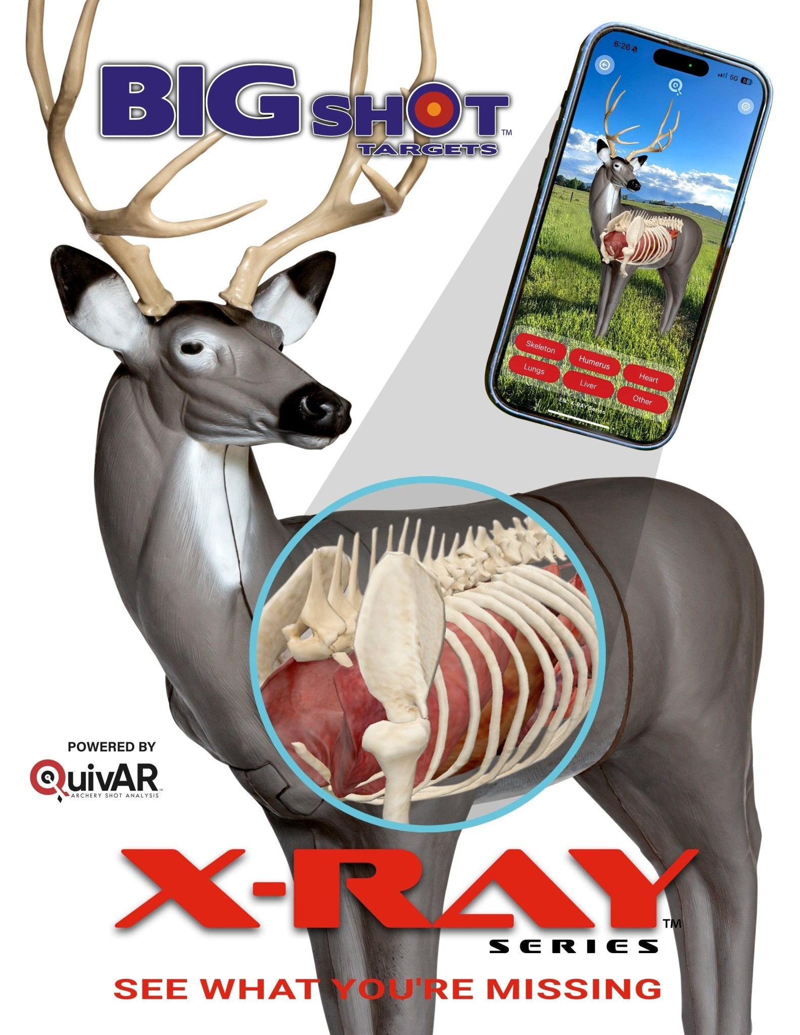BIGshot Archery X - Ray Series Mule Deer - Angler's Pro Tackle & Outdoors