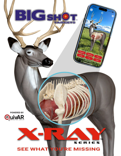 BIGshot Archery X - Ray Series Mule Deer - Angler's Pro Tackle & Outdoors