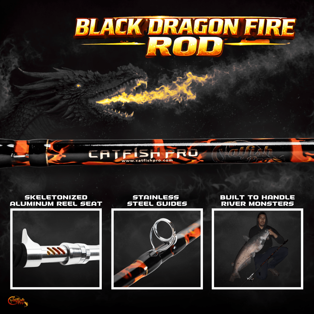 Catfish Pro Black Dragon Fire Casting Rod