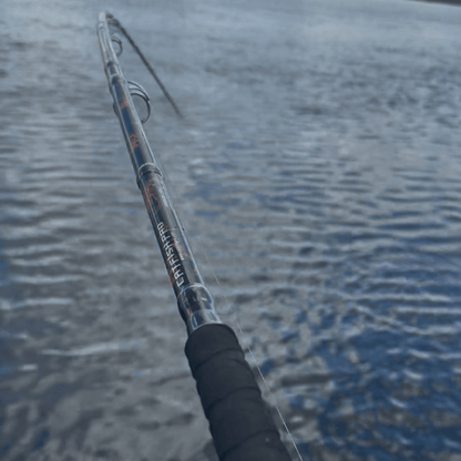 Catfish Pro Black Dragon Fire Casting Rod