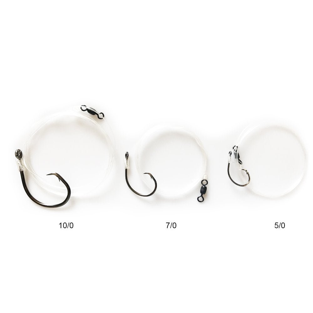 BlacktipH Live Bait Rigs with 5/0 Black Nickel Circle Hook and Premium Rosco Swivel - Small 5 Pack - Angler's Pro Tackle & Outdoors