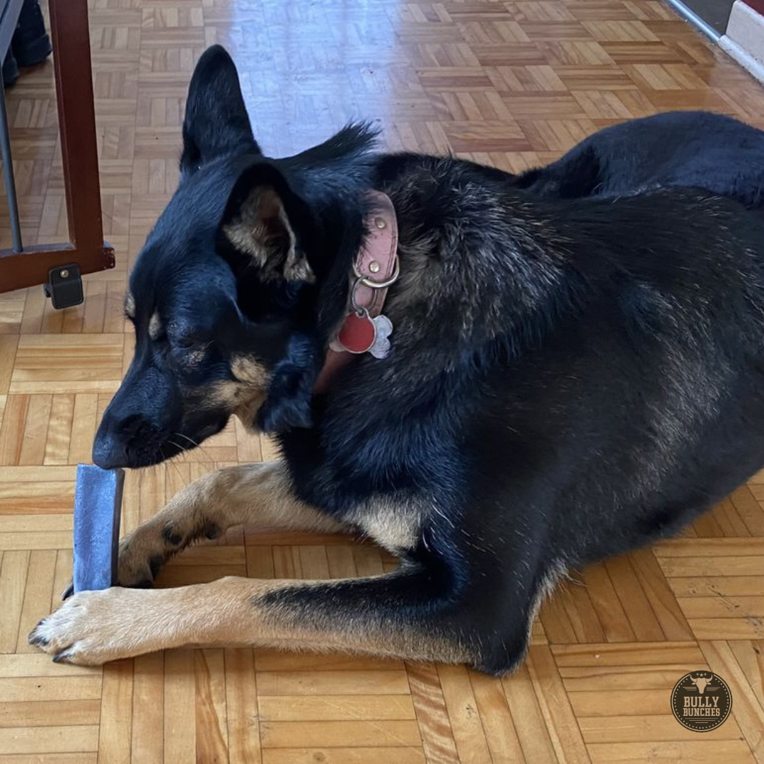 Bully Bunches - Blueberry Himalayan Yak Chew (MEDIUM)