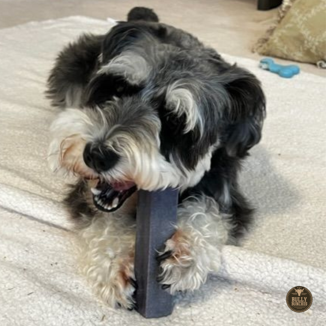 Bully Bunches - Blueberry Himalayan Yak Chew (MEDIUM)