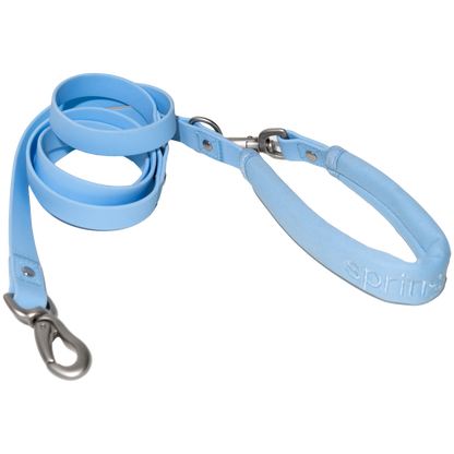 Springer Dog Leash