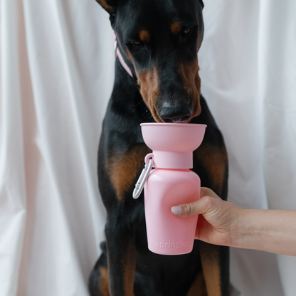 Springland Pets 20oz Flip Dog Travel Water Bottle