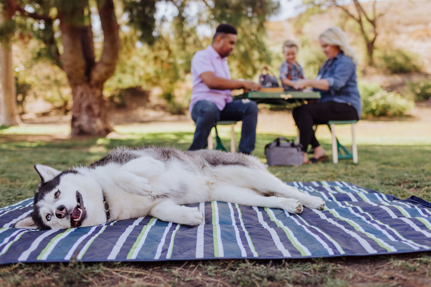 Picnic Time Vista Outdoor Picnic Blanket & Tote