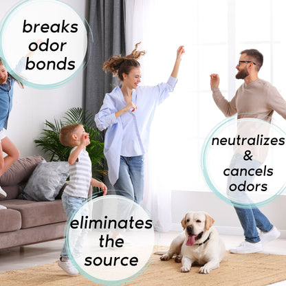 Zone Protects Odor Eliminator Twin Spray Bundle