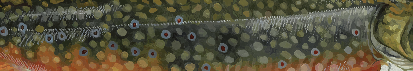 Natives Fly Fishing 2024 Catch Cam Net Handles