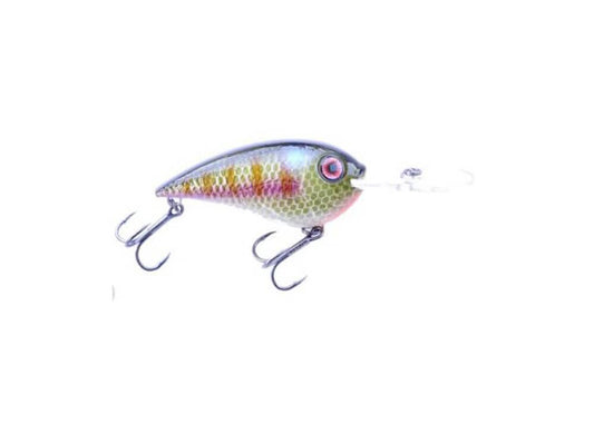 Bruiser Cruiser Crankbait - Angler's Pro Tackle & Outdoors