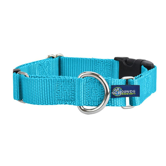 2 Hounds Design 5/8″ and 1″ Turquoise Nylon Buckle Martingale Dog Collar