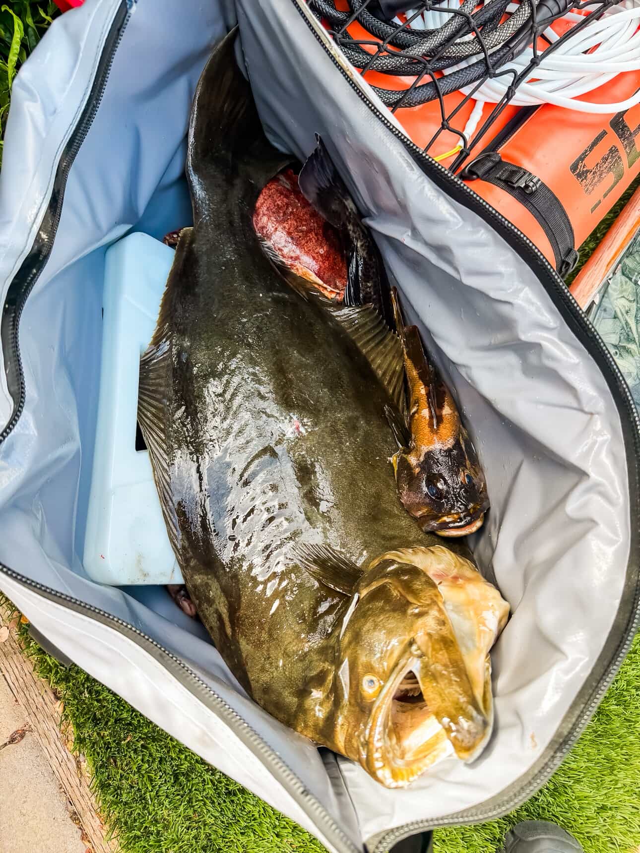 Buffalo Gear 45QT Fish Cooler Bag With Flat Bottom - Angler's Pro Tackle & Outdoors