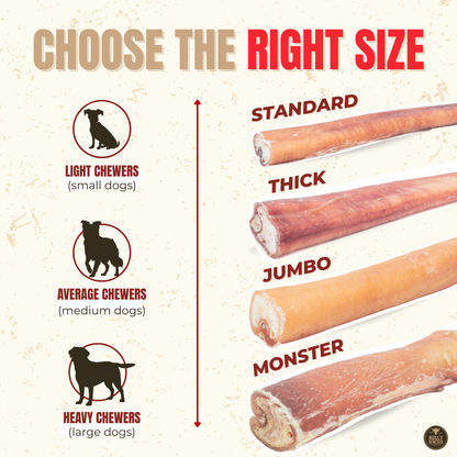 Bully Bunches - 12 Inch Standard Bully Stick