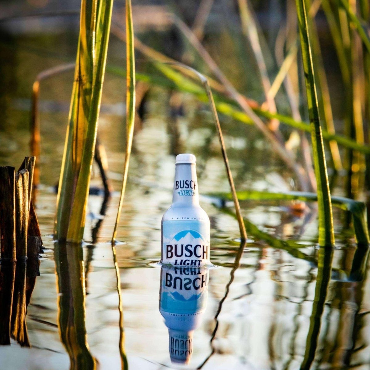 Busch Light Fishing Bobber 12 pack plus Table Top Merchandiser - Angler's Pro Tackle & Outdoors