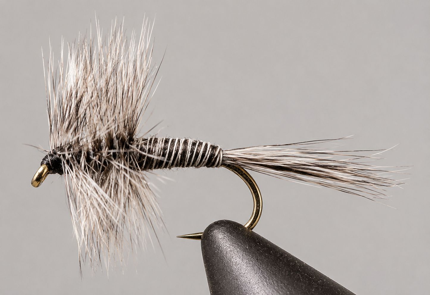 Stone Creek Mosquito