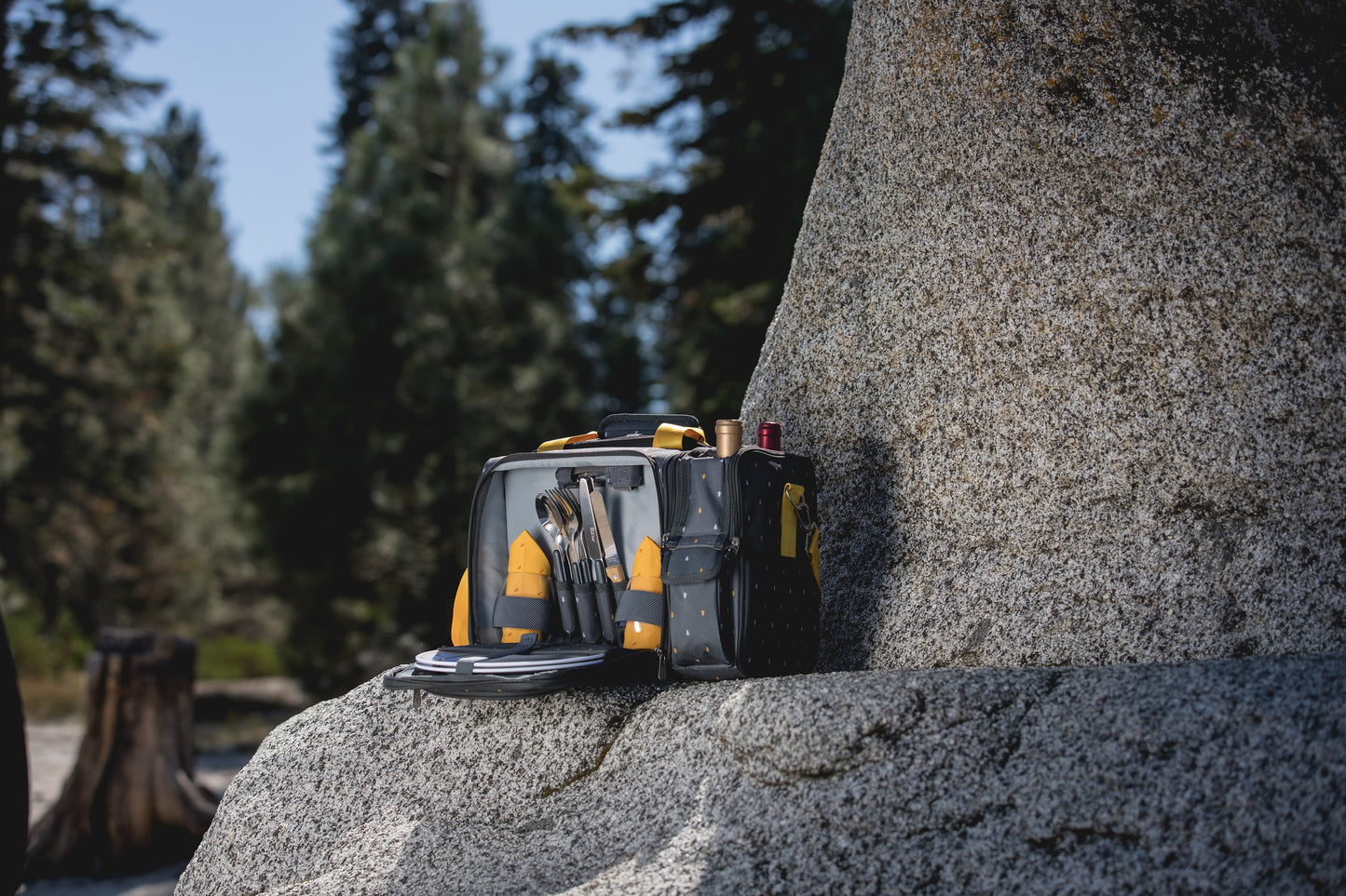 Picnic Time Pranzo Lunch Bag Cooler with Utensils