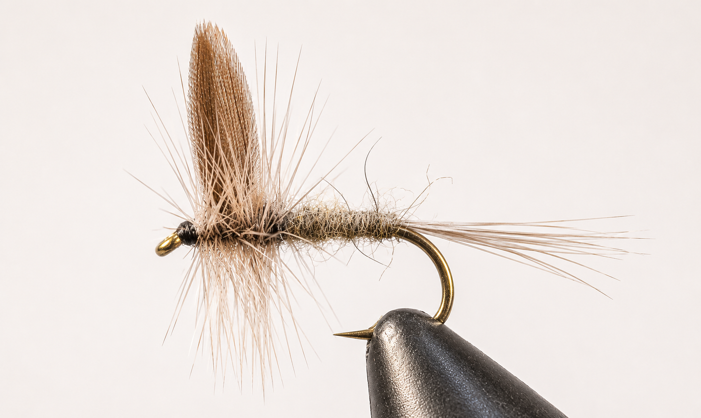 Stone Creek Blue Dun