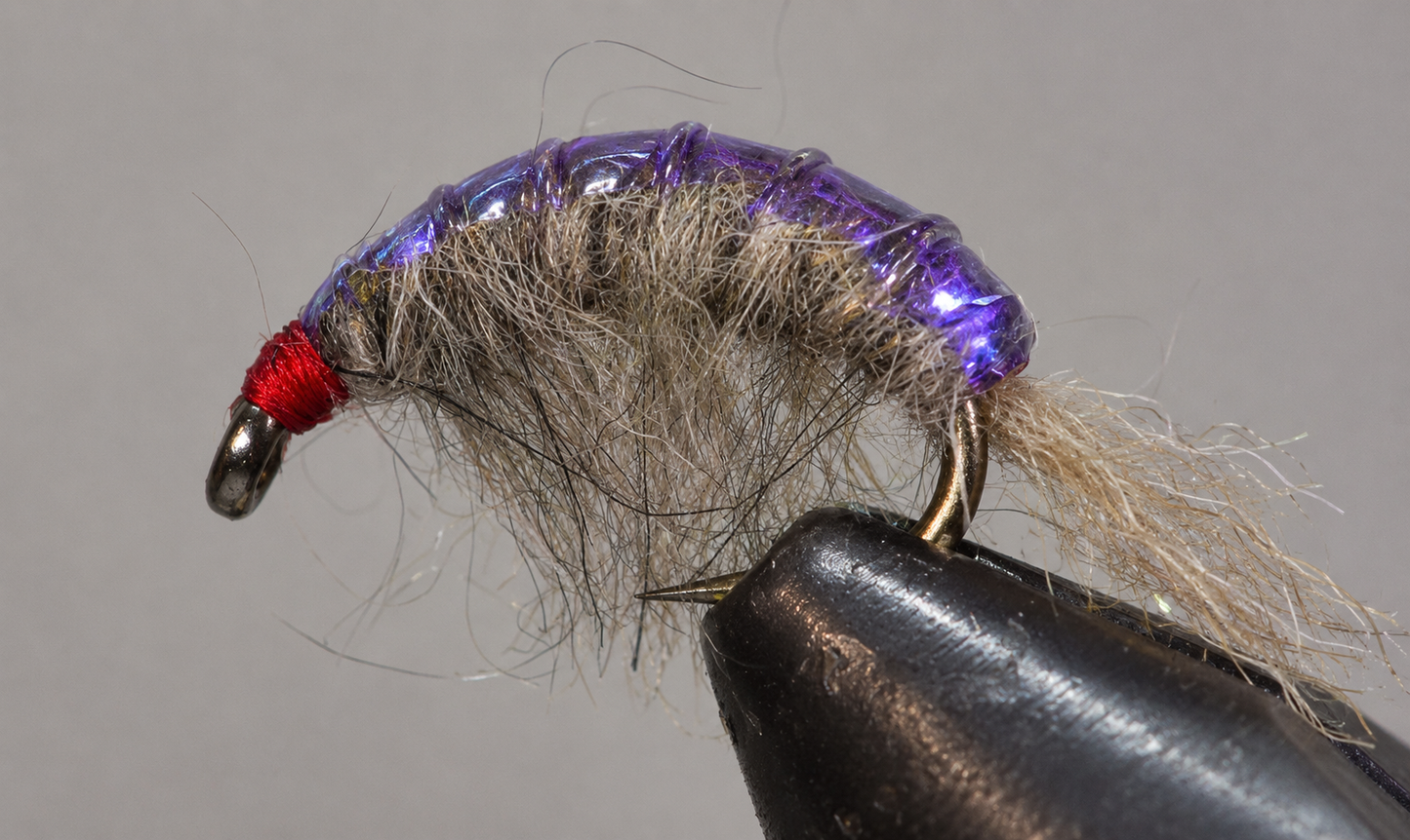 Stone Creek Molting Scuds