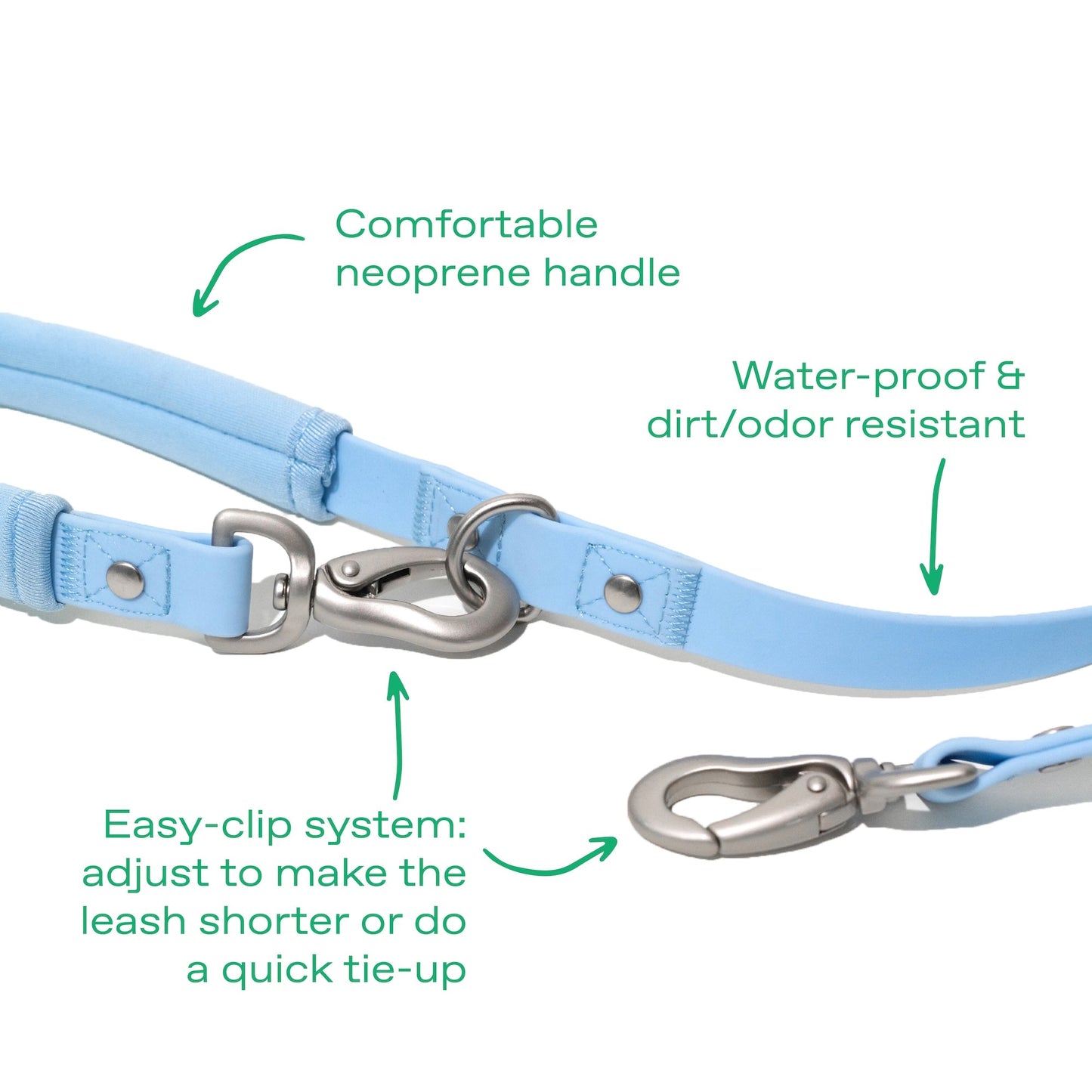 Springer Dog Leash