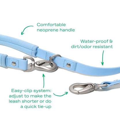 Springer Dog Leash