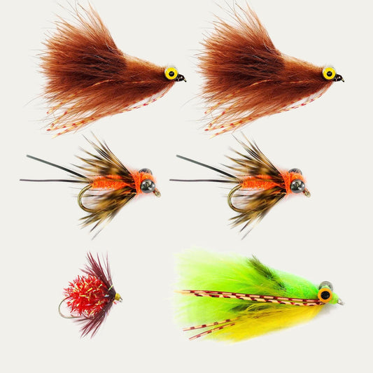 Carpe Diem Carp Fly Assortment - Angler's Pro Tackle & Outdoors