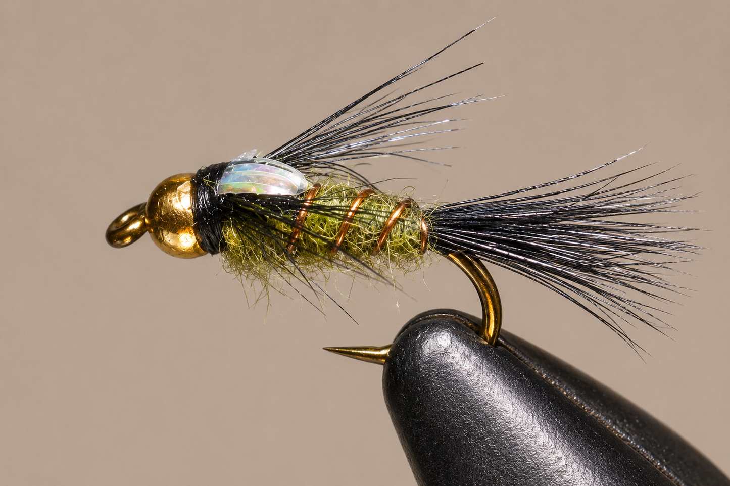 Stone Creek BH A.P. Olive