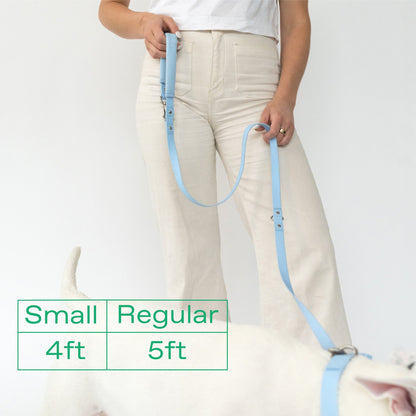 Springer Dog Leash