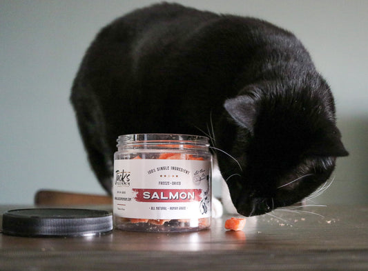 Jack’s Premium Salmon Freeze Dried