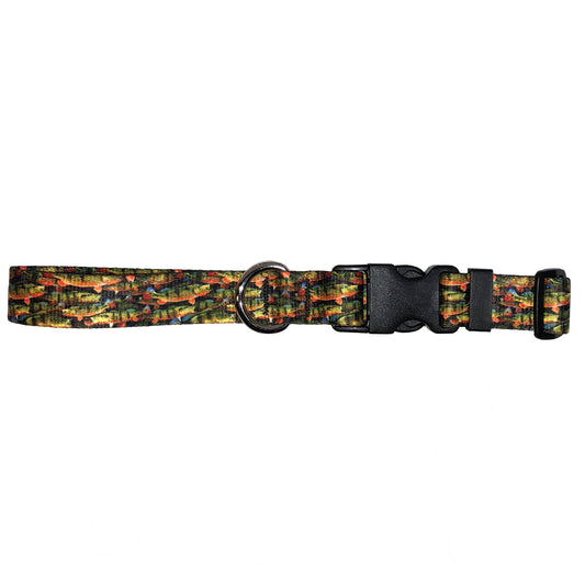 Cognito Brands Peacock Bass Dog Collar - Angler's Pro Tackle & Outdoors