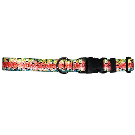 Cognito Brands Rainbow3 Trout Dog Collar - Angler's Pro Tackle & Outdoors