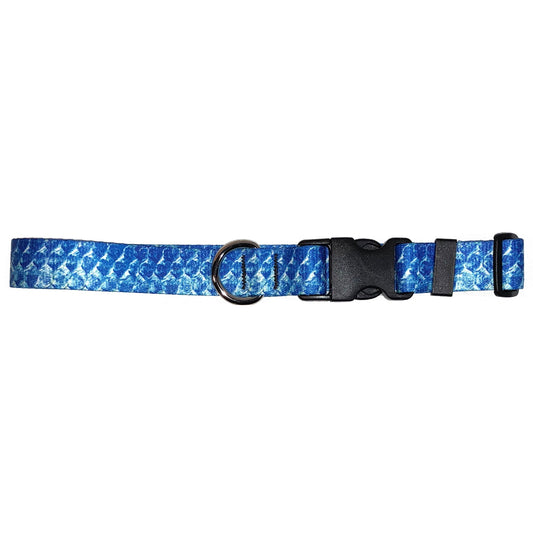 Cognito Brands Tarpon Dog Collar - Angler's Pro Tackle & Outdoors